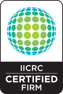 the only IICRC certified Placerville Carpet Cleaner
